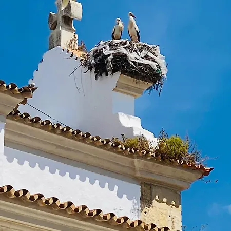 Casa Amanda Nyaraló Olhão