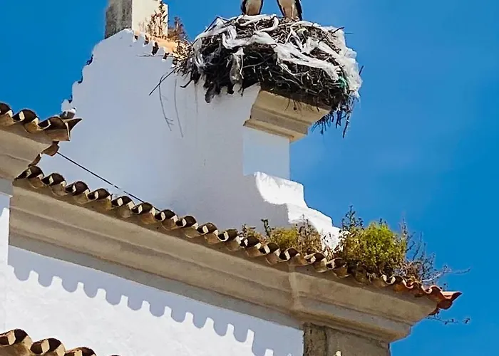 Casa Amanda بيت للعطل Olhão